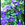 Vines and Climbers