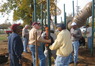 Christine Lyday Park Installation 017.jpg