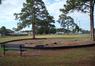 DSCF1245.jpg