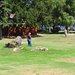 Playground Footprint #2
