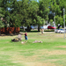 Playground Footprint #3