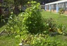 2011-07-13_11-27-56_805.jpg