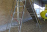 DSC00549 - Copy.JPG