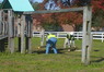 playground 003.jpg