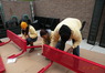 DSCN9877.jpg