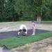 The kids helped sod! 