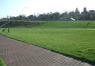 DSCF4950.JPG