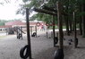 DSCF2386.JPG