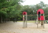 DSCF2395.JPG
