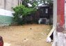 playhouse.jpg