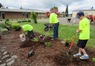 YCIS_garden_1.jpg