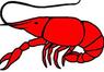 Mudbug.jpg