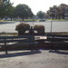 MayfairPlayground_003.jpg