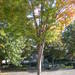 MayfairPlayground_021.jpg