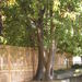 MayfairPlayground_022.jpg