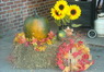 sept_2009-dec_2009_402.JPG