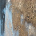 our school yard in March