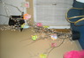 Decorations at Fashion Show (can I rotate this photo?)