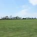 The open field