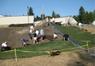 Laying sod 