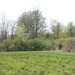 brush and wetlands? Yes!