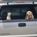 interested observers 