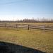 Hitching Posts
