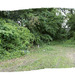 360 View