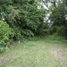 Back of playground