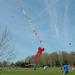 Kites of all shapes and sizes 