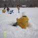 Eggs in the snow 