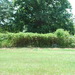 Grove Park Play Area