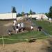 Putting down sod 