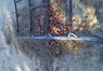 Climbing Net with open hooks