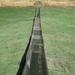 Ready to slide! 