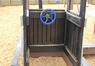DSCN2219.jpg