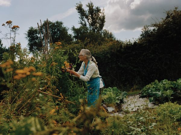 What drives our search for utopia?