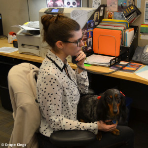 Say hello to our newest Production Coordinator in training... Lulu (AKA Weinie) 