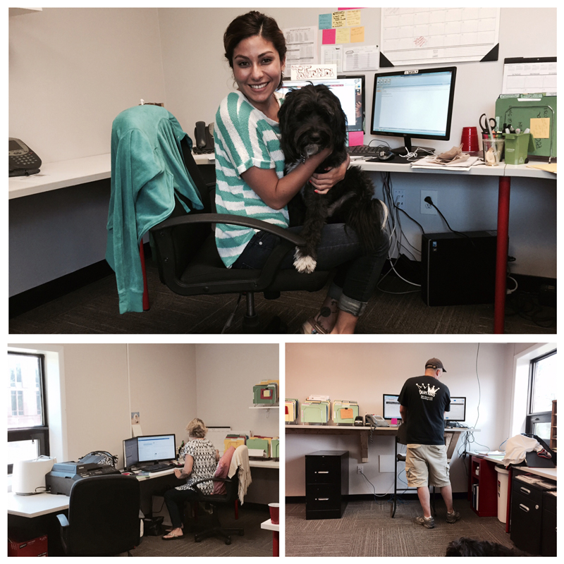 DC crew Tatiana, HP and Mary Beth happy and hard at work in the new office