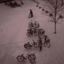 1498853503_m_sq_64