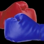 Gloves_med_sq_90