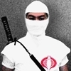 N4m_ninja_poster