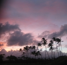 Purple_palms_poster