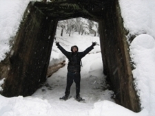 Trevor_inside_a_giant_seqoia_poster