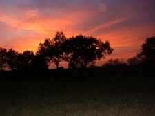 Miller_ranch_017_poster