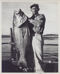Pica-16755d_poster