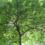M_cb3853e8bf24b1be1ee5dfdee984efcb_sq_90