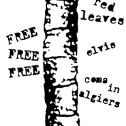 Worm_sq_177