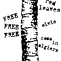 Worm_sq_90