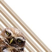 Diagonal_poster